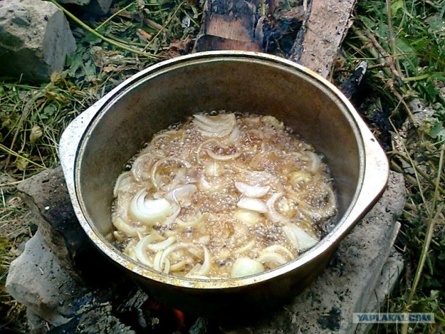 Пловские старания, ... эпическое полотно о Плове...