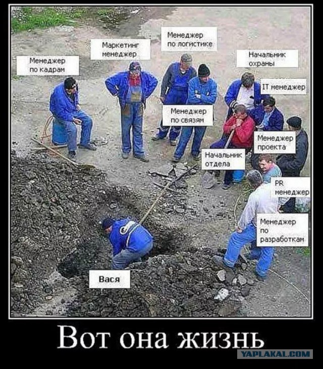 Крик души