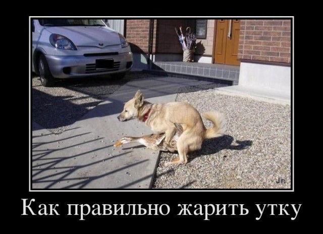 Е@и гусей, говорили они