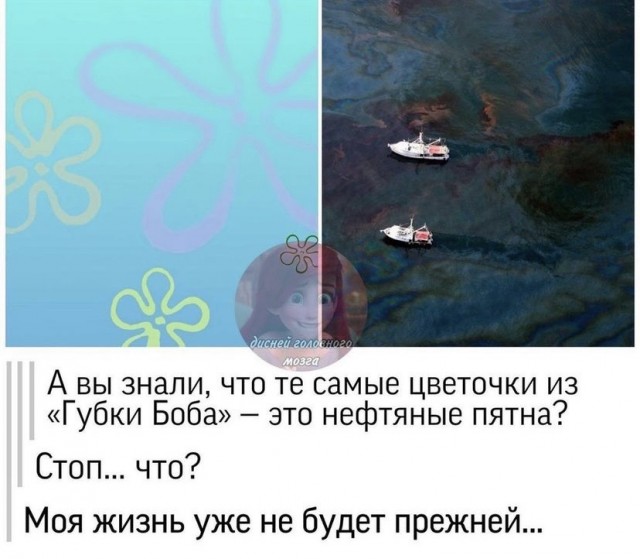 Так себе картинки 13.08.21