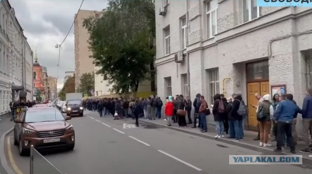 Выборы