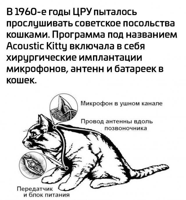 Так себе картинки 15.10.21