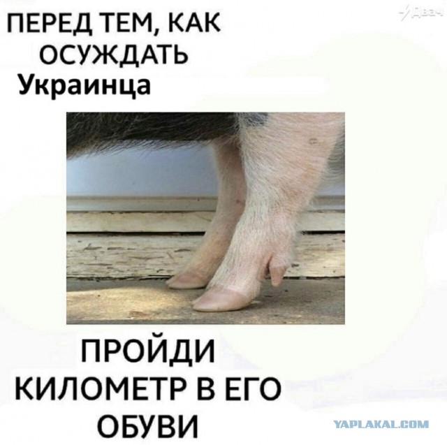 Украинский план по покупке газа на отсуженные у «Газпрома» деньги провалился в зародыше