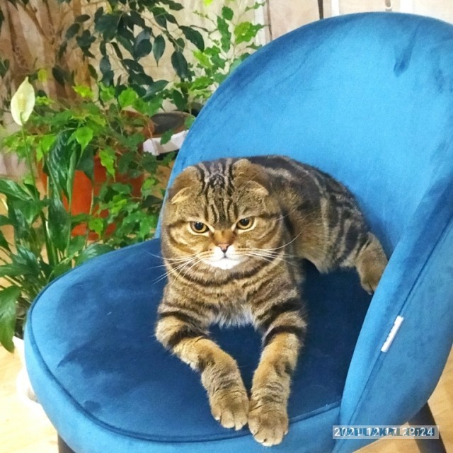 Ну, понеслась!