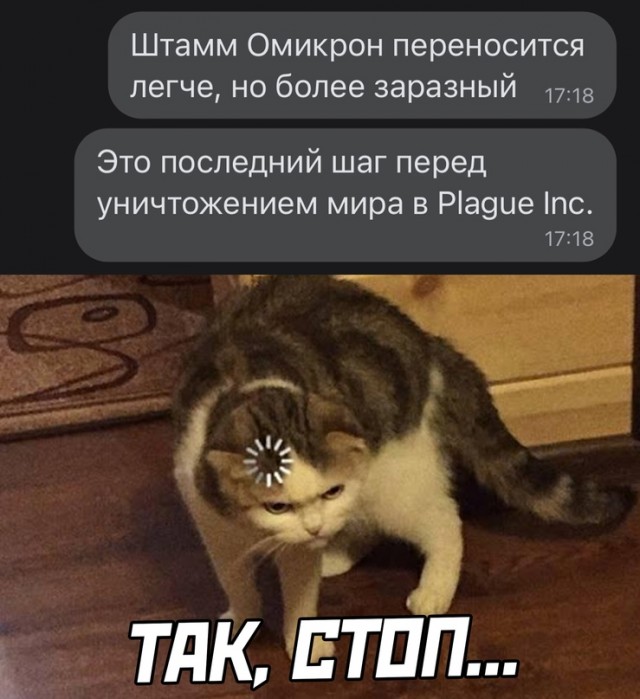 Весёлый полтишок 27.12