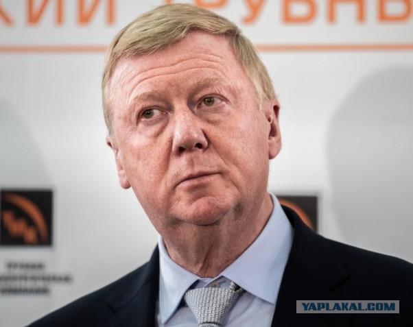 Чубайс предложил ввести в России новый налог