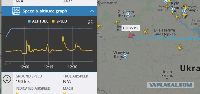 Подскажите что за "зверь" такой летает?