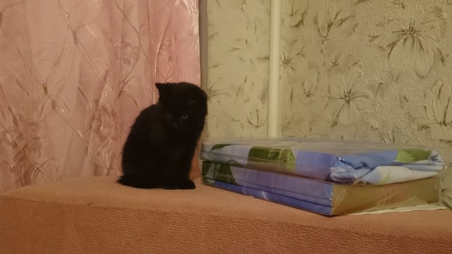 Выключайте скорее свои мимиметры!