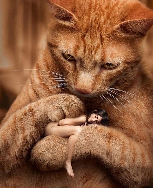 40 приятных картинок 29.03.2022