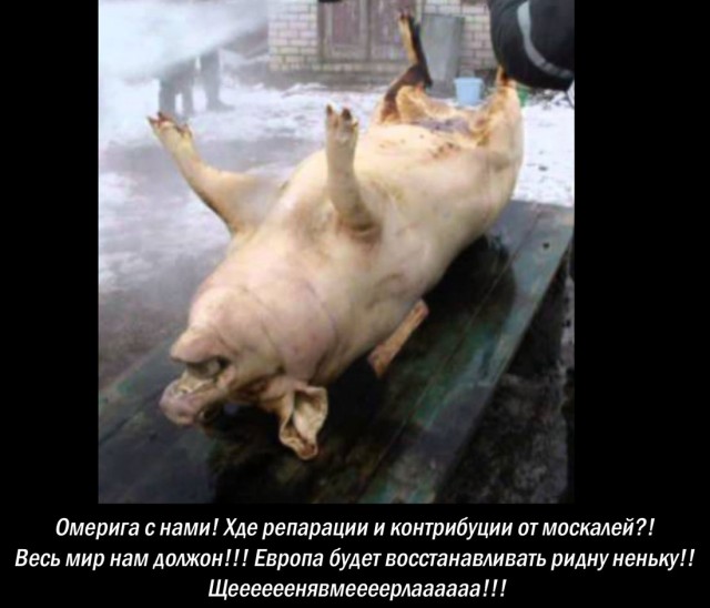 Голландские депутаты отказались слушать в парламенте Нидерландов «проповедь Зеленского» про поставки «лiтакiв и другой зброi»