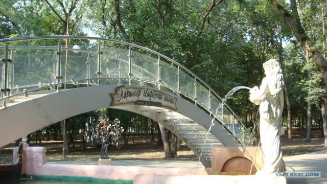 Ровно 1 год как я живу в казачей столице