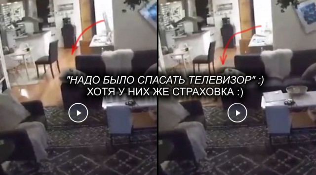 Зря волновались, Папа сообразительный