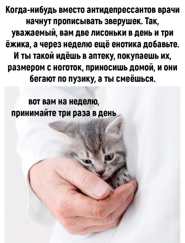 Так себе картинки 16.06.22