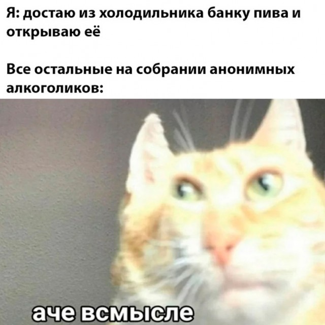 Картинки и мемы для настроения - 19