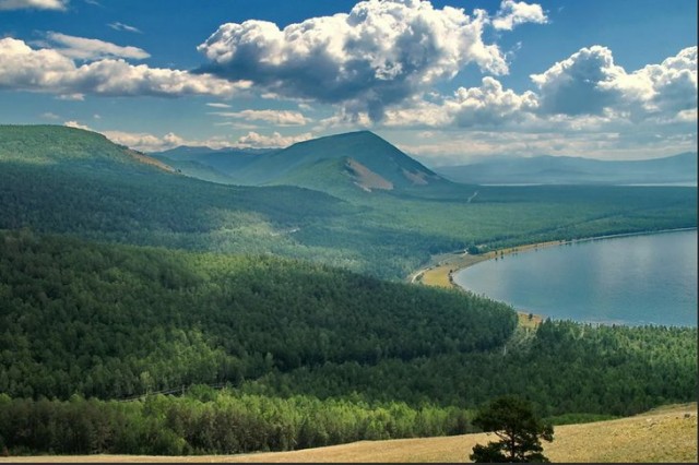 В Госдуму внесли проект о возможности сплошных вырубок на Байкале.