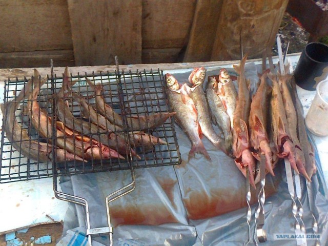 Моя первая рыбалка...