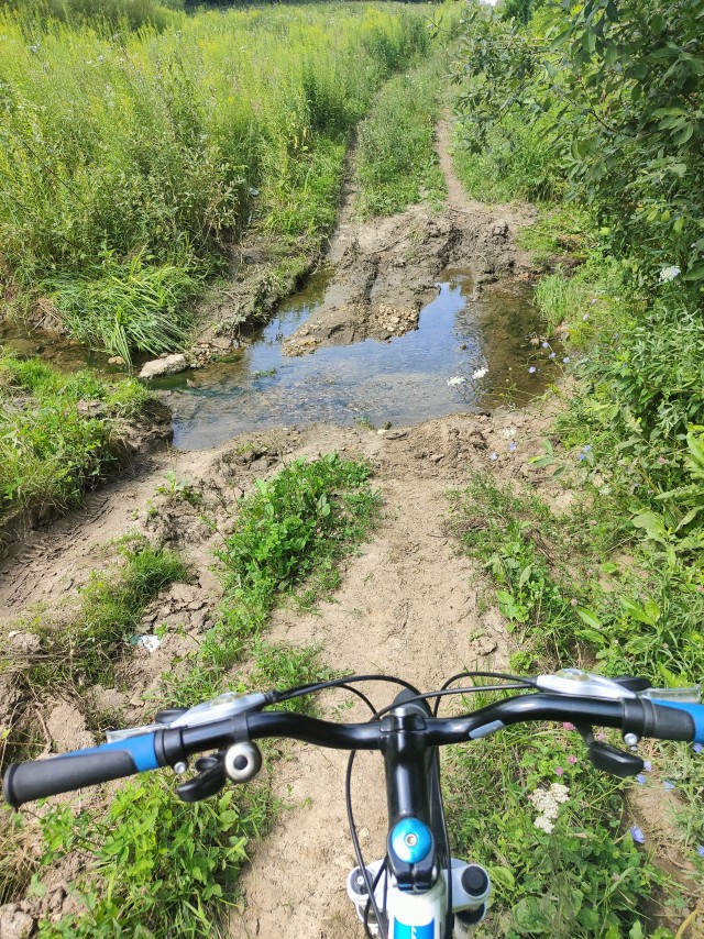 Кто на чем передвигается