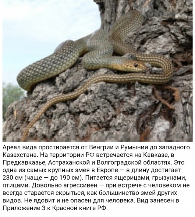 Обычный день парня из Дагестана