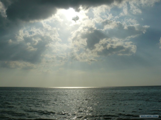 Немного Тая