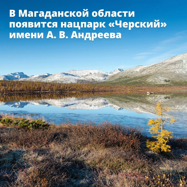 Победная поступь идиотизма по планете – том 4