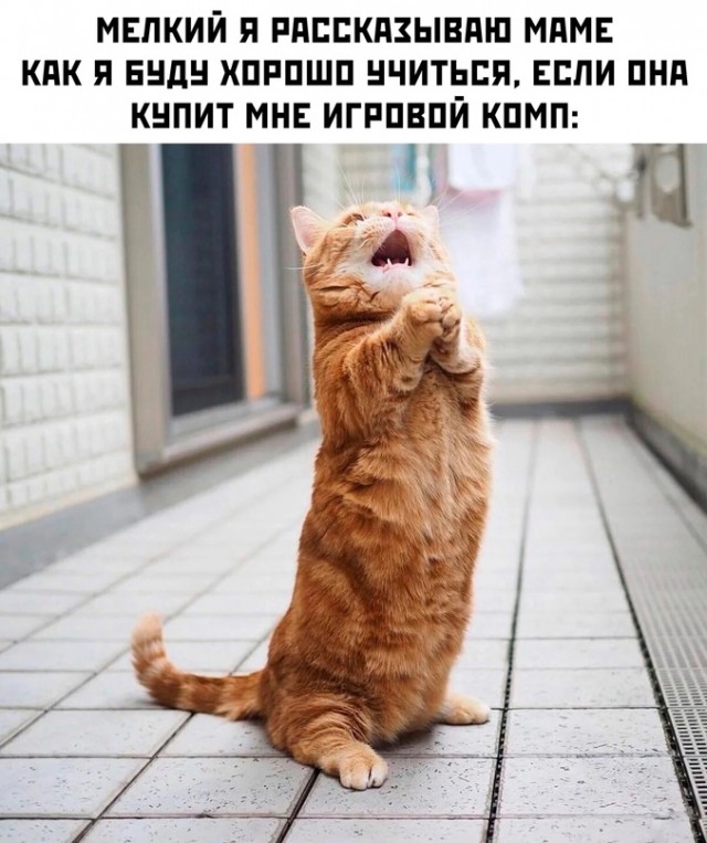 Немного картинок для настроения