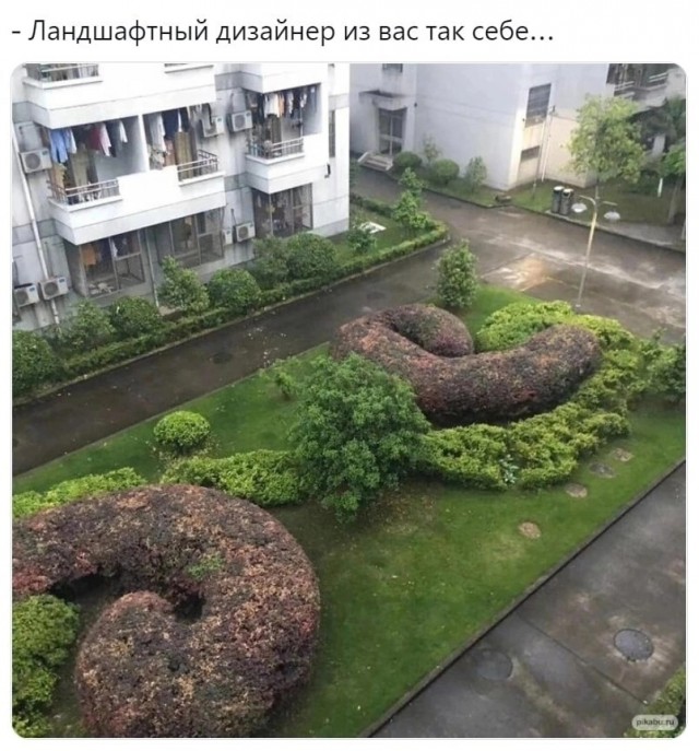 Так себе картинки 30.03.23