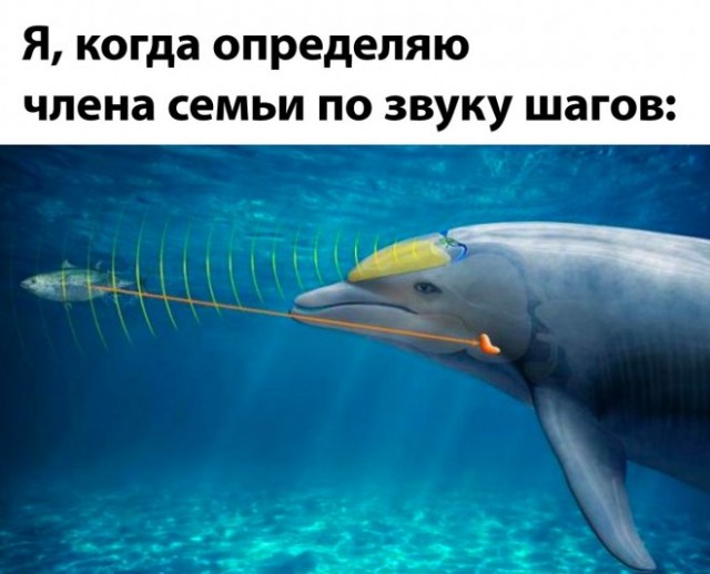 Картинки и мемы, это май-чародей всяко разно - 177