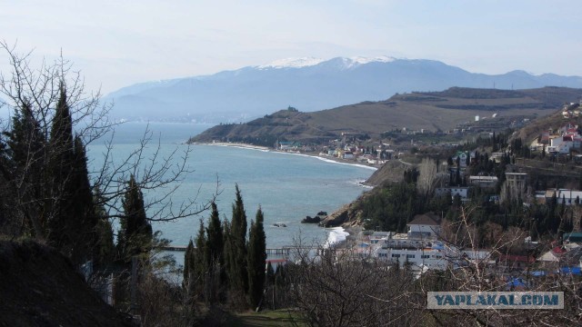 Крым в феврале или "Не стреляйте в белых лебедей!"