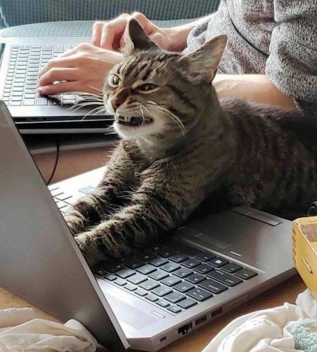 Подборка интересных и веселых картинок