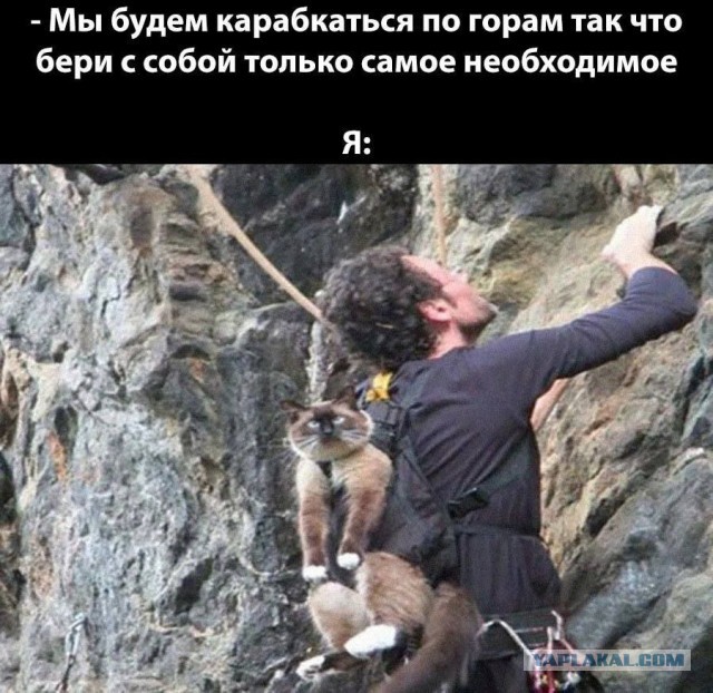 Чуток картинок
