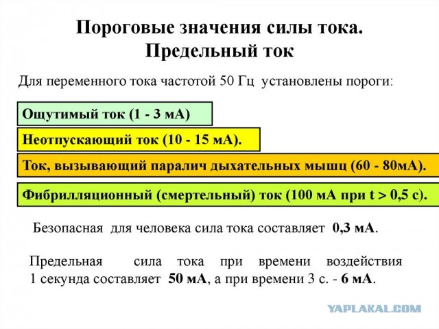 10-летняя девочка уронила айфон в ванну и умерла в Красноярском крае