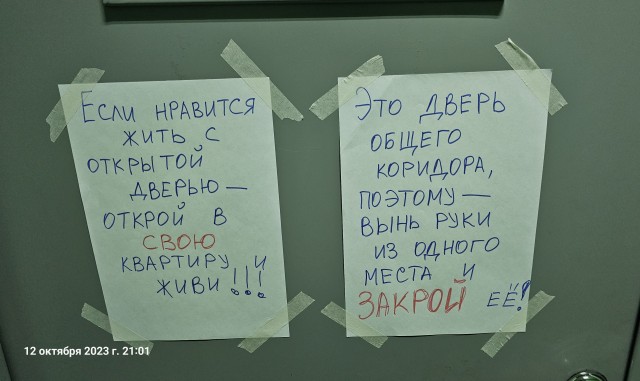Перлы 02.11.23