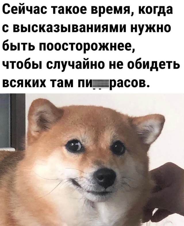 Так себе картинки 23.12.23