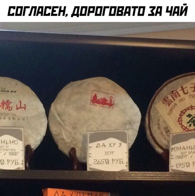 Весёлый полтишок 02.01.24