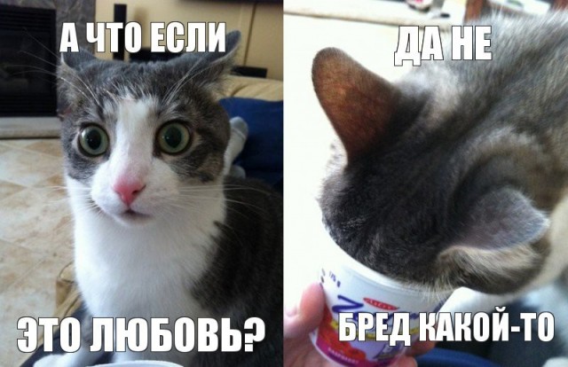 Лев и его мышка