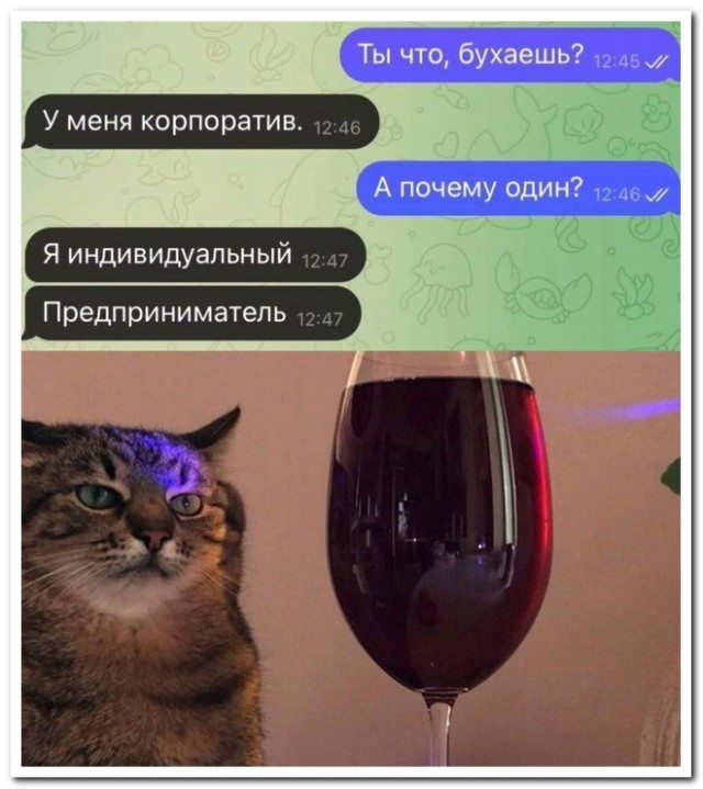 Забавные комментарии из социальных сетей (11.03.24)