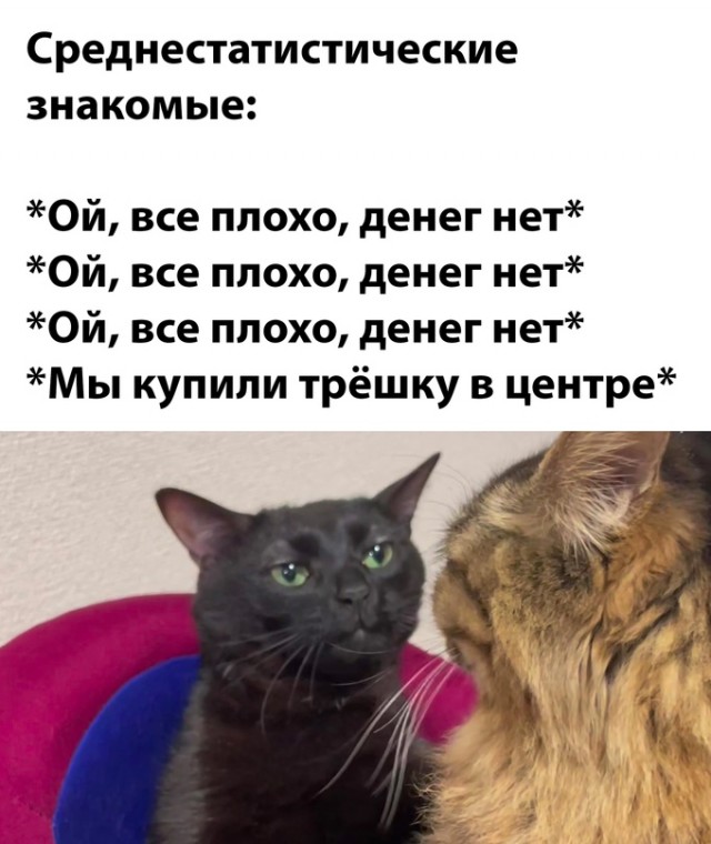 Весёлый полтишок 15.04.24