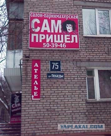 Сам виноват!