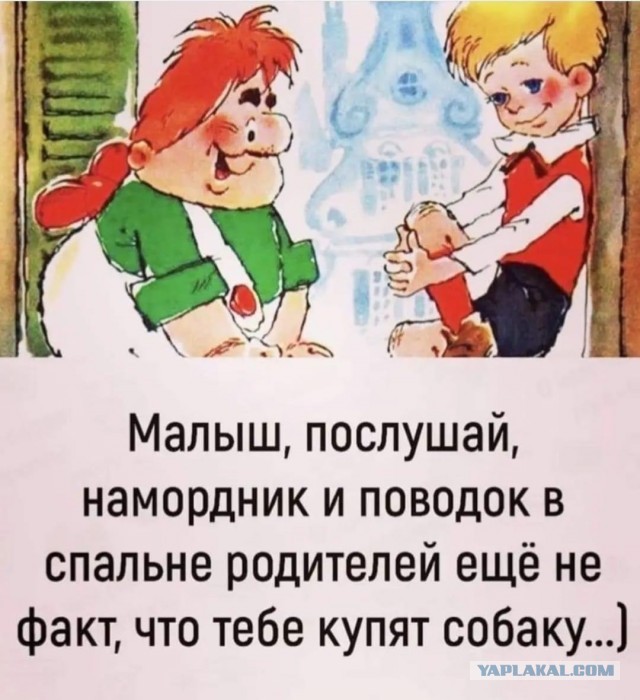Так себе картинки 10.07.24