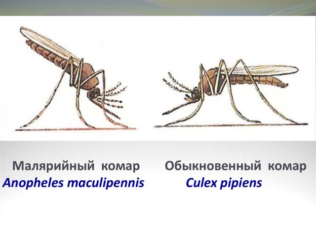 Природа и человек