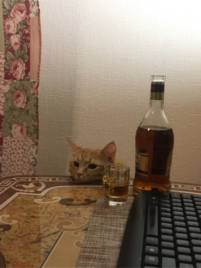 Наташ, скоро сварится?