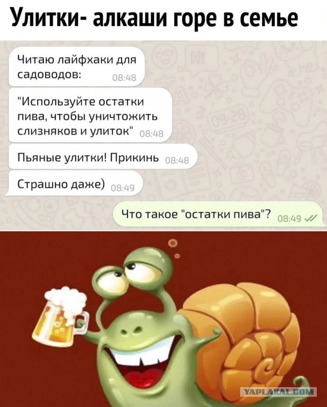 Найдены самые настоящие пивозавры. Ими стали.. слизни