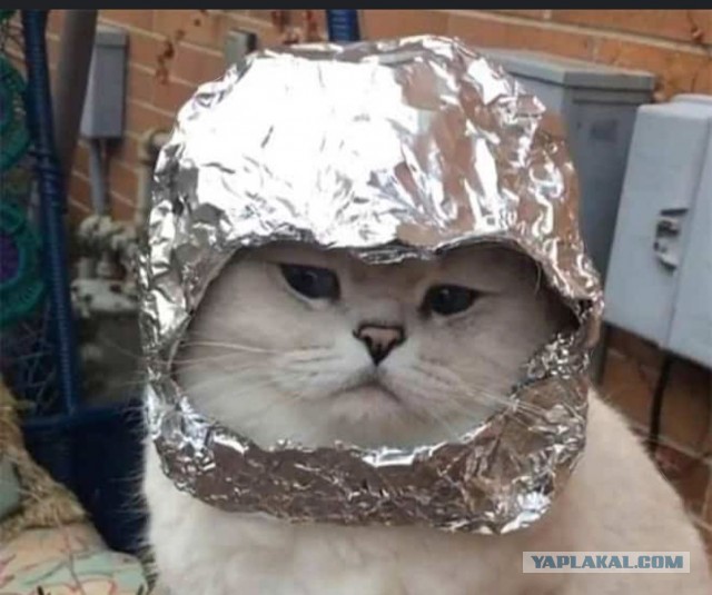 Наконец-то кто-то нашел эту закономерность