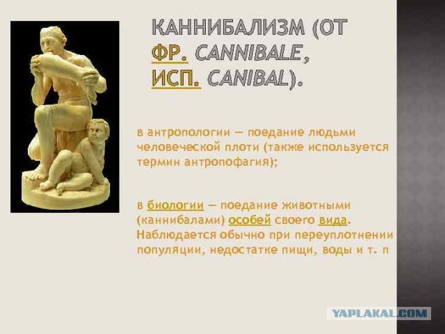 Суши из хрюши