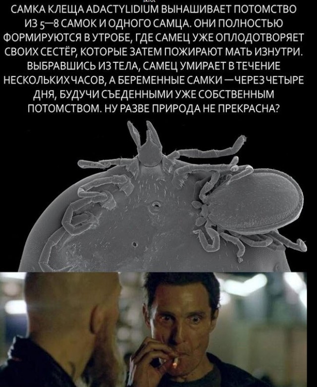 Отборные баяны 10-летней выдержки - SCIENCE 3.0 edition