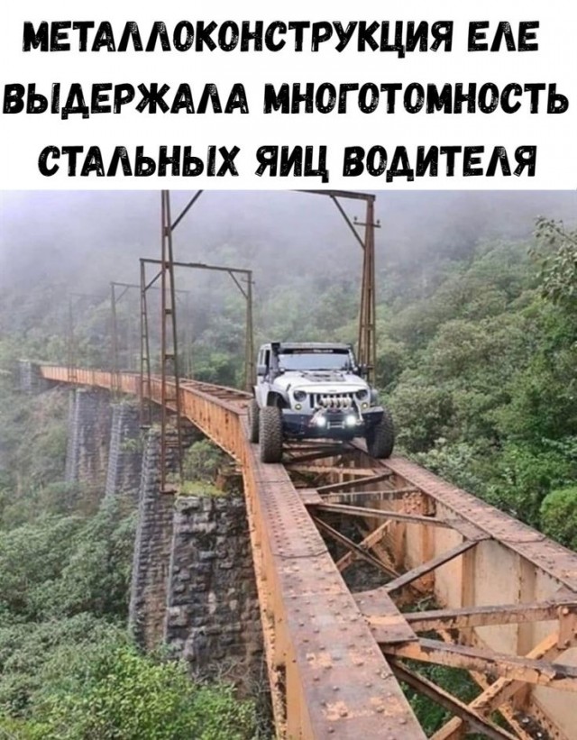 Прикольные и просто красивые картинки 06.12.2024