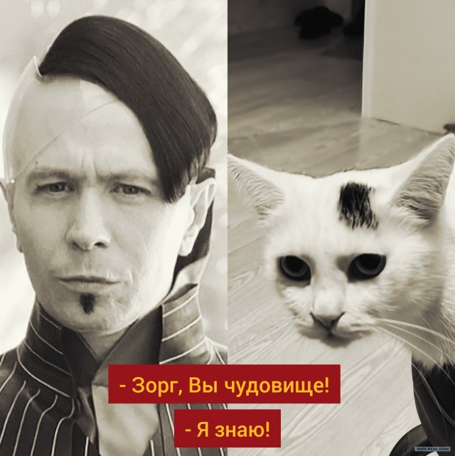 Нет человека - нет проблемы