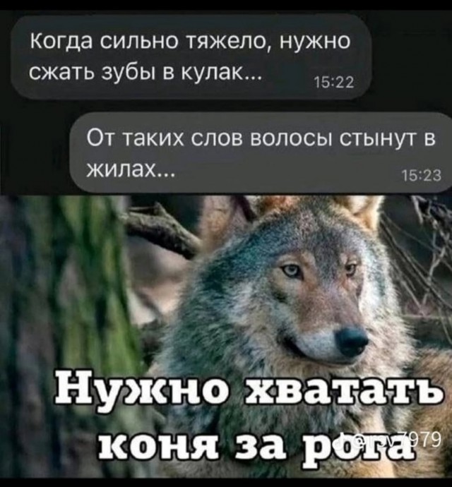 Завалялось тут случайно немного забавных картинок