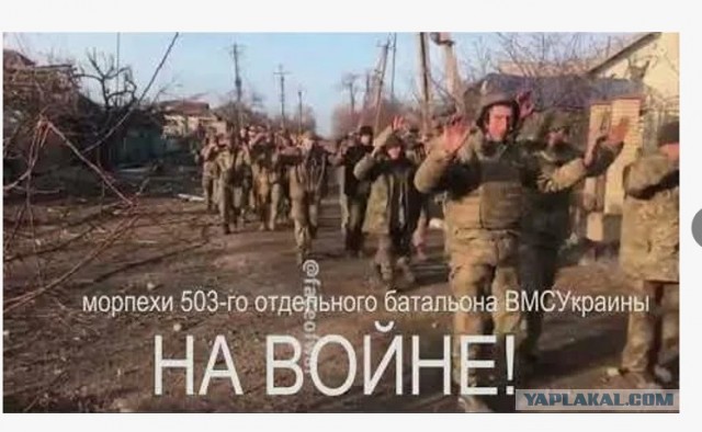 Пленные в Курской области.