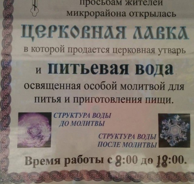 Весёлый полтишок 25.03.25